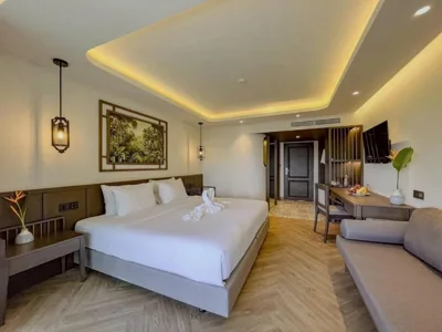 Deluxe Summit Wing — Peach Hill Resort